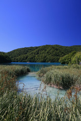 Fototapeta na wymiar Lac de Plitvice