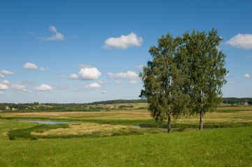 Fototapeta na wymiar rural landscape with two trees
