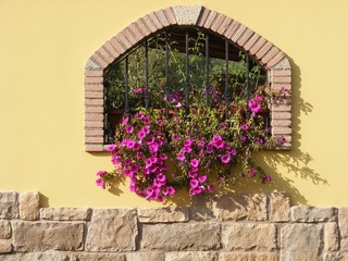 Muro con fiori