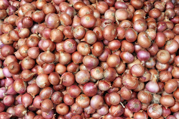 Onions Background