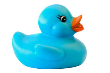 Blue plastic duck a over white background