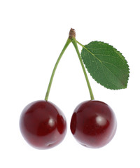 Cherry