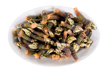 a tray with just cooked fresh barnacles