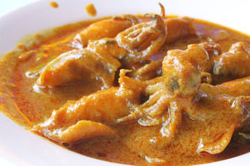 picture of a typical indian squid curry