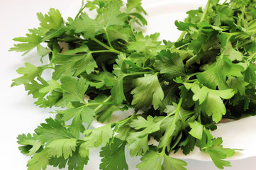 sheaf of fresh parsley on plate