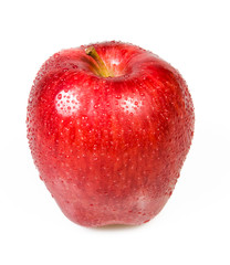 Red apple on white background..