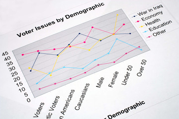 Voter Issues by Demographic