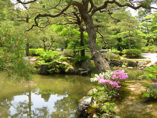 jardin japonais (Kyoto)