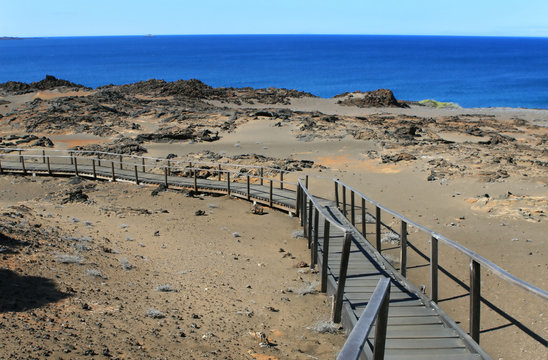 Lookout Steps