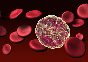 blood cells with virus