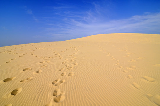 dune du pilat