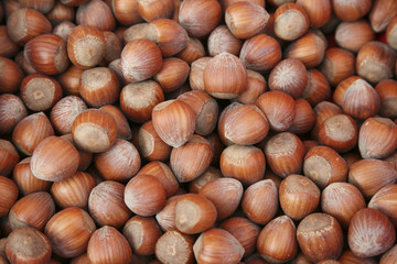 Hazelnuts background