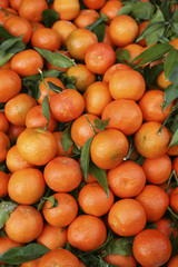 Orange fruit background