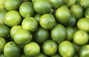 Lime background