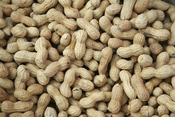 Groundnuts background