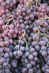 Dark grapes background