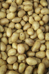 Potatoes background