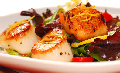 Fresh seared sea scallops with a salad