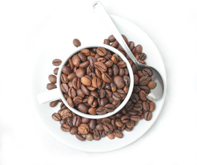 coffee bean roasted