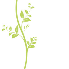 Fototapeta premium vecteur série - floral design feuilles et liane vectorielle
