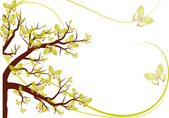 arbre aux papillons janonais