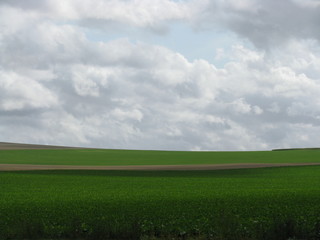 Fototapeta premium campagne