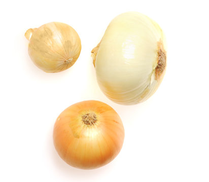 fresh onion bulb isolated on white