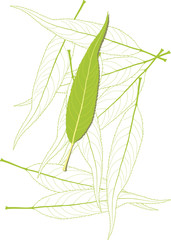 leaf3
