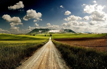 Camino