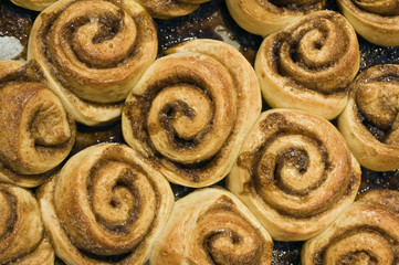 cinnamon buns in a baking dish fresh from the oven