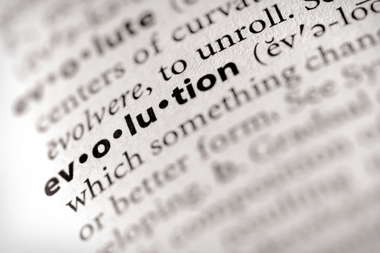 "evolution". Many more word photos in my portfolio....