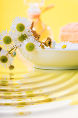 scenes of relaxation and body treatment