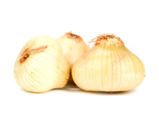 Onions isolated on white.