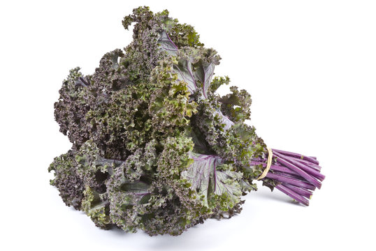 Bunch of Purple Kale Isolated on White