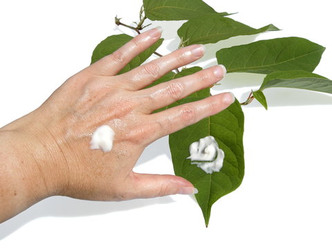 cr&egrave;me soins