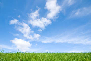 view of peaceful grassland, blue sky above and white clouds
