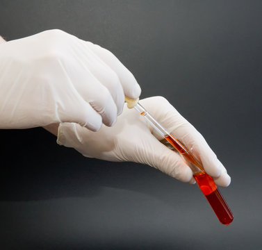Latex gloved hands holding a test tube and pipette isolated