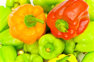 Colourful bell peppers arranged at the market stand
