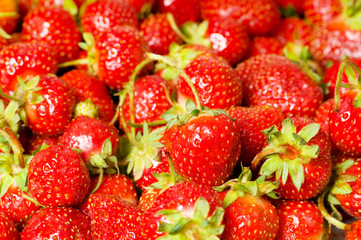 Fruit concept - red strawberries arranged as background