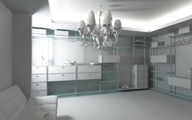 modern blank wardrobe interior (3D rendering)