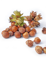 hazelnuts