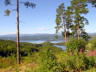 Paysage Nordique