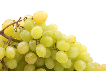 object on white - food Red grapes