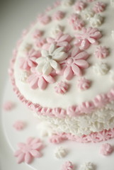 Fototapeta na wymiar pink n white cake