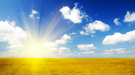 perfect field and blue sky