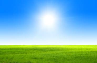 Fototapeta na wymiar idealne pole zielone i nieba