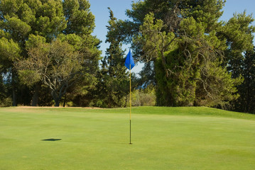 Obraz premium Golf5