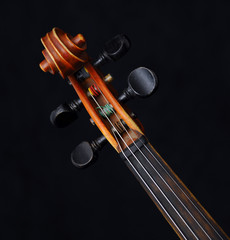 Violin