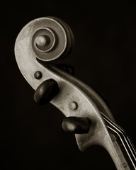 Violin © Sorin Popa