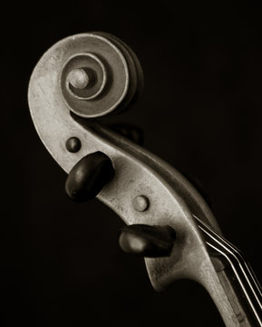 Violin